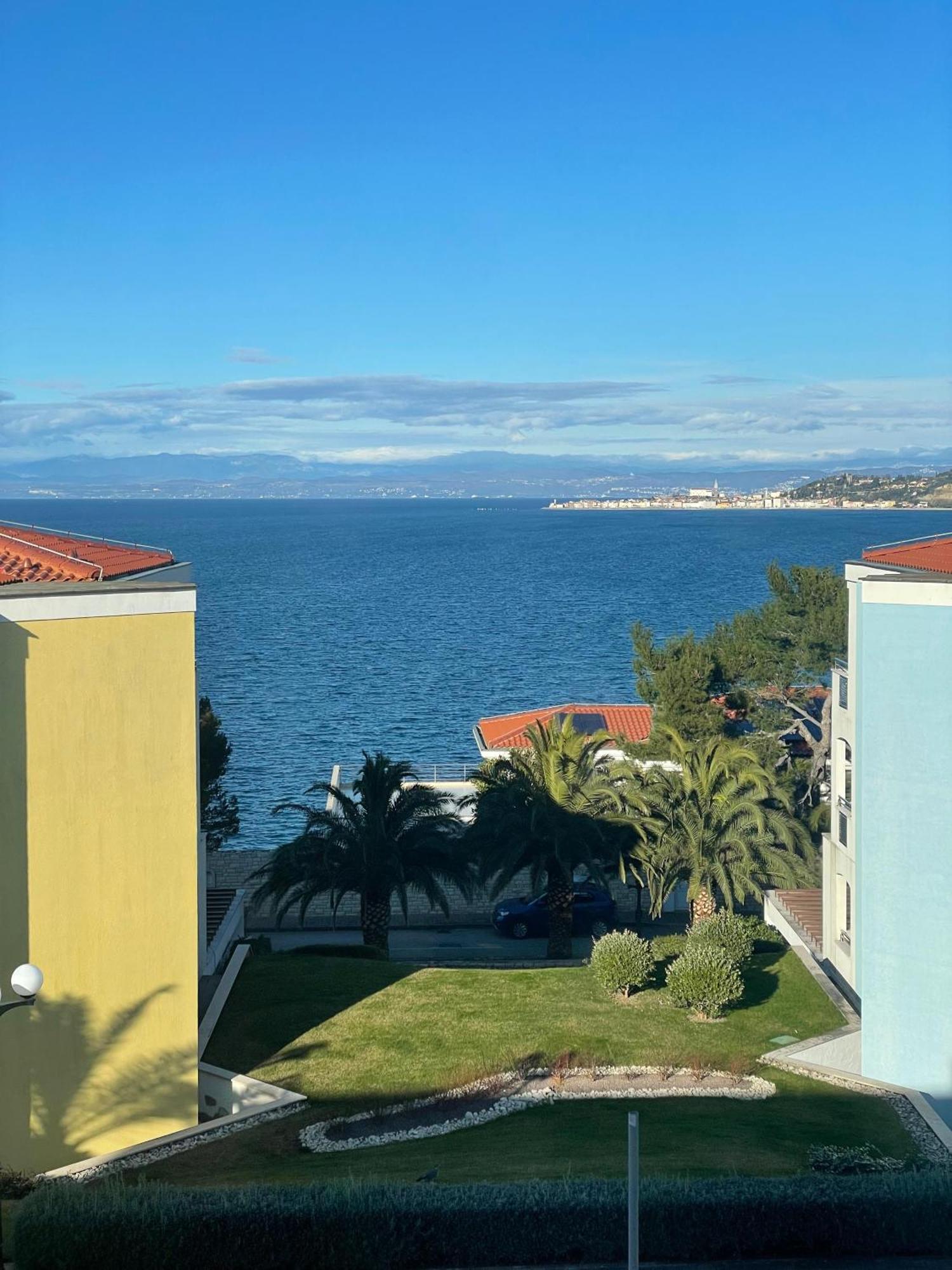 סבודרייה Apartment Tamara By Partner Tourist Agency מראה חיצוני תמונה