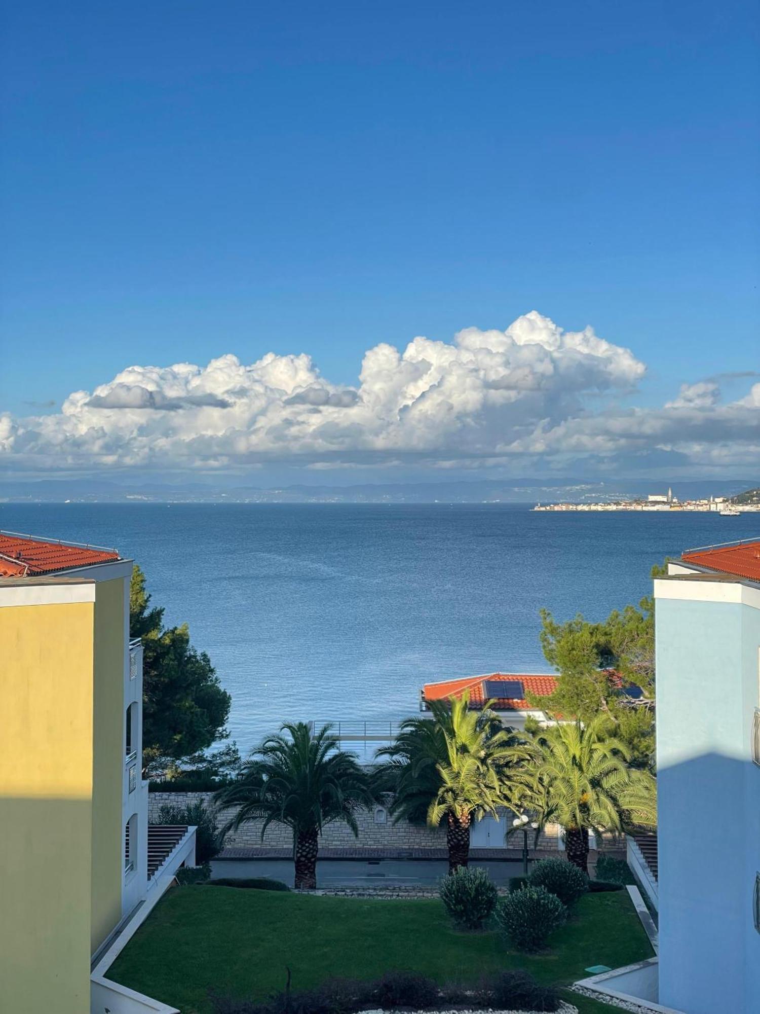 סבודרייה Apartment Tamara By Partner Tourist Agency מראה חיצוני תמונה